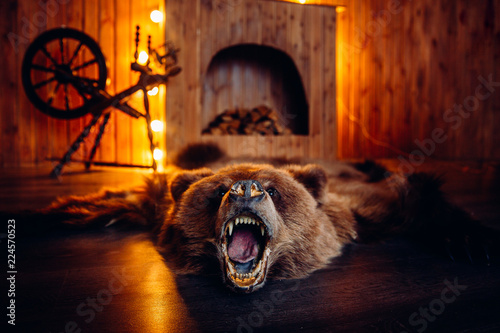 Skin of dead bear lies on floor in interior taxidermy.