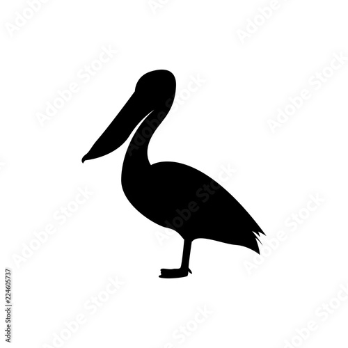 pelican vector silhouette