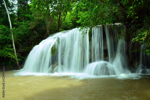 Scenic view of waterfall in the forest (place of fish),erawan waterfall national park,kanchanaburi,thailand. 