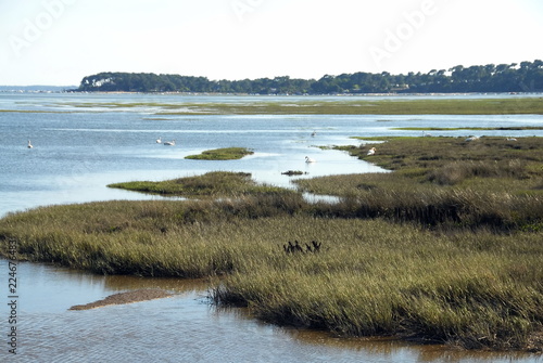 ville d'Arès, Réserve Naturelle des Prés Salés, département de la Gironde, France