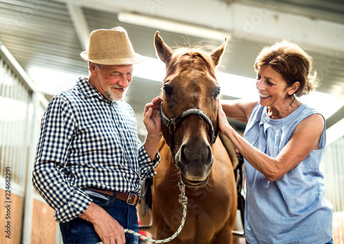 A happy senior couple petting a horse in a stable.