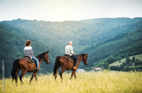 A senior couple riding horses in nature.