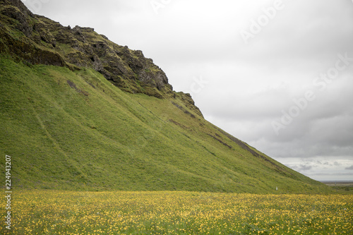 Beautiful shot of green steep hill and a meadow full of yellow flowers.