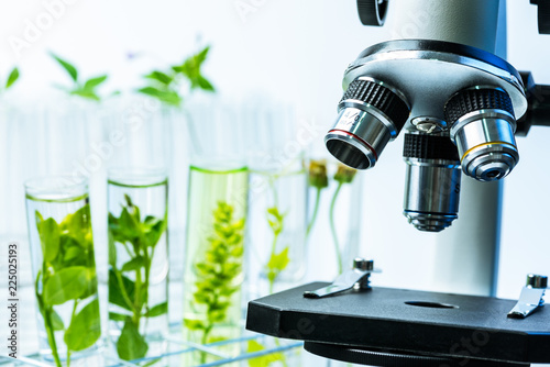 microscope and young plant in science test tube , lab research biochemistry , biotechnology concept