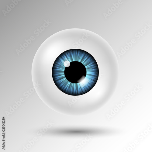 Vector 3d human eyeball with blue iris and shadow isolated on white background