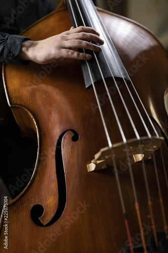 A person playing a double bass