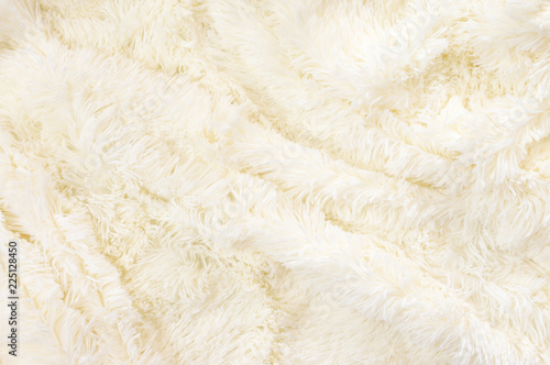 Shaggy fur texture