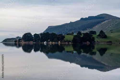 Trees & hills reflected in the still sea