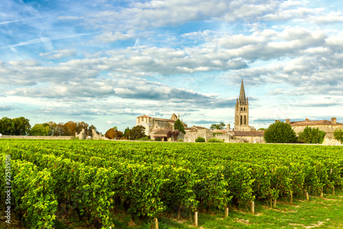 Vineyards of Saint Emilion, Bordeaux Wineyards in France