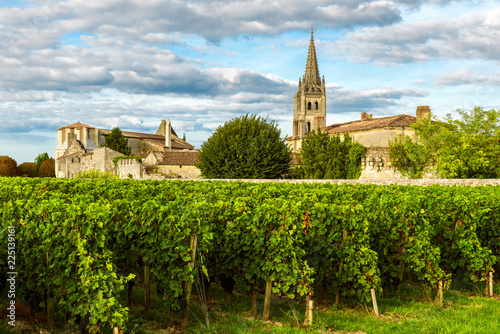 Sunny landscape of bordeaux wineyards in Saint Emilion in Aquitaine region, France