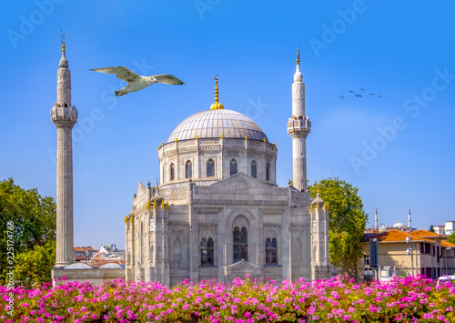 Pink flowers with Pertevniyal Valide Sultan Mosque, an Ottoman imperial mosque in Istanbul, Turkey. Summer sunny day with blue cloudy sky.