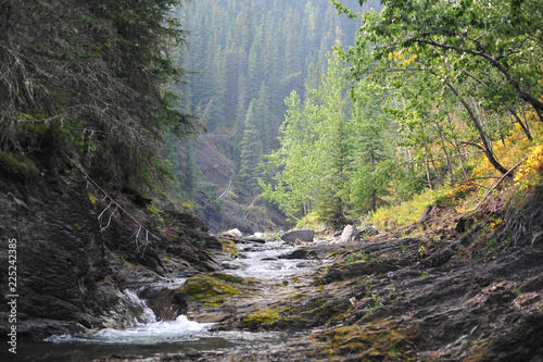 Small Hidden Mountain Stream in Sheep River Provincial Park, Alberta