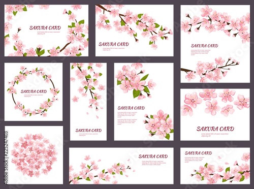 Sakura vector blossom cherry greeting cards with spring pink blooming flowers illustration japanese set of wedding invitation flowering template decoration isolated on white background