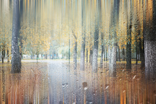 Background autumn rain in the park
