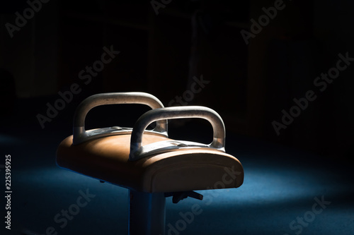 sunlight shining on a pommel horse in a gymnasium