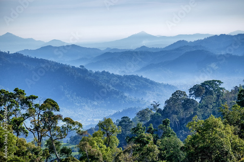 Mountains and Forest in Indonesia with HDR