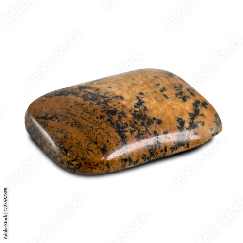 Cabochon cut picture jasper stone isolated on white background