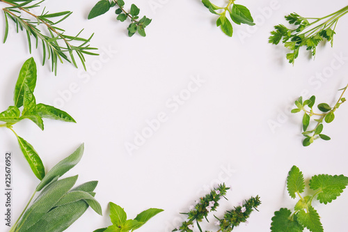 Fresh spicy and medicinal herbs on white background. Border from various herb - rosemary, oregano, sage, marjoram, basil, thyme, mint. Food frame for recipe