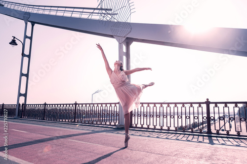 Professional ballerina. Beautiful young woman showing her professional skills while dancing