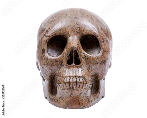 Picture Jasper realistic crystal carved skull isolated on white background