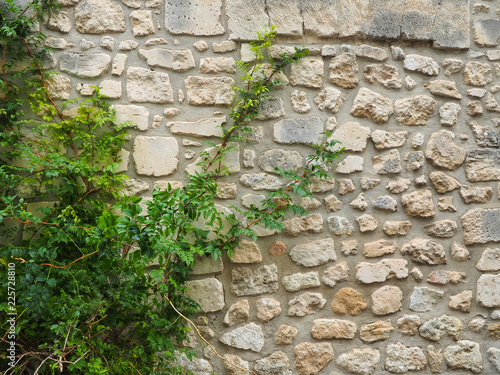 Mur de Provence