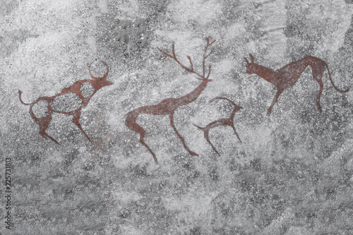 The image of ancient animals on the wall of a cave drawn by an ancient man. history, era.