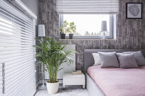 Real photo of a grey bedroom interior with a bed, pillows, big plant and window blinds