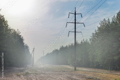 Forest glade with power transmission line right-of-way. Electrical supply wires in fog at early morning