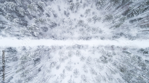 Aerial view of frozen road and boreal forest covered by snow