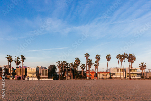 Houses and palm trees near Venice Beach, Los Angeles