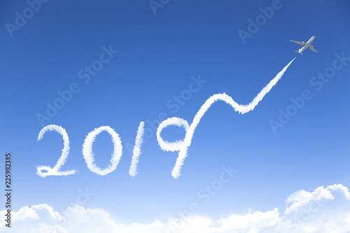 happy New year 2019 and business growth concept.drawing by airplane