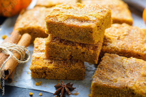 Pumpkin Bars with Cinnamon Sugar Crust, Freshly Baked Pumpkin Blondies