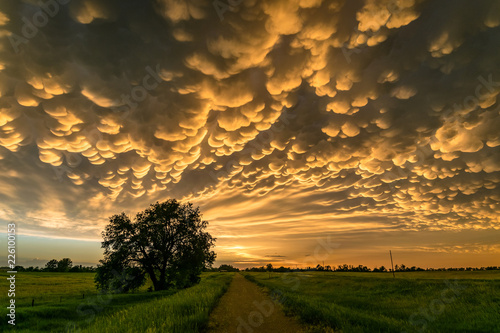Mammatus clouds over north-central Nebraska