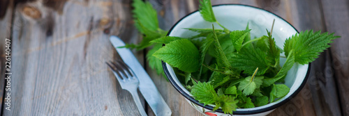Freshly picked young nettles in a bowl ready for salad (Urtica dioica)