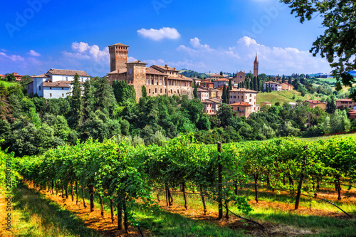 Romantic vine route with medieval castles in Italy. Emiglia Romagna region, Levizzano village