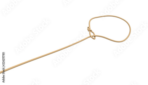 3d rendering of a rope tied in a lasso and flying on a white background.