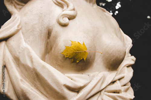 marble statue with a yellow autumn leaf on the female breast