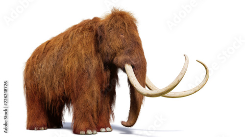 woolly mammoth, prehistoric mammal isolated with shadow on white background (3d illustration)