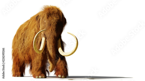 woolly mammoth, prehistoric mammal isolated with shadow on white background (3d rendering)