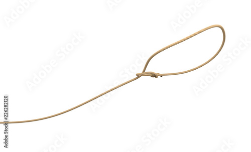 3d rendering of a rope tied in a lasso and flying on a white background.