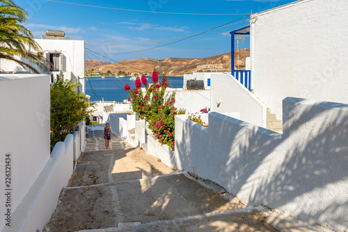 Beautiful whitewashed Greek architecture with summer flowers in sunny day. Serifos island. Greece