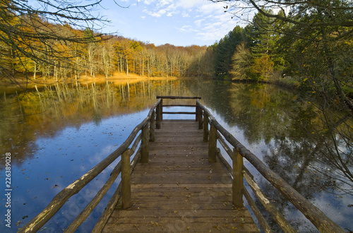 Jetty on the lake, autumn, Foresta Umbra, Gargano, Apulia, Italy