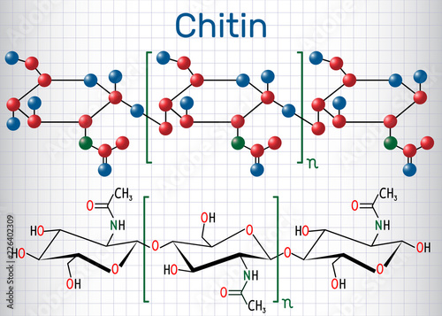 Chitin molecule. Structural chemical formula and molecule model. Sheet of paper in a cage