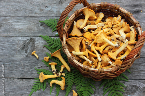 Mushrooms chanterelles in a basket, top view. Copy space.