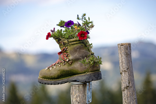 Wanderschuh - Allgäu - Blumen - Alpen - lustig