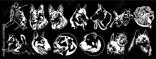 Dogs of different breeds suitable for embroidery