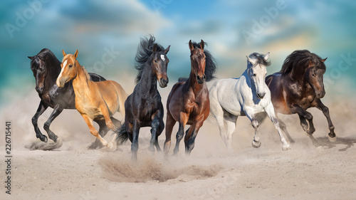 Konie biegają galopem w pustynnym pyle na tle burzowego nieba
