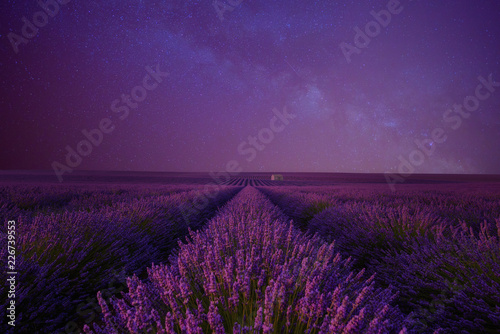 Lavender field at night under the milky way summer night sky Provence France