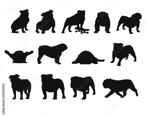 English Bulldog - Silhouettes