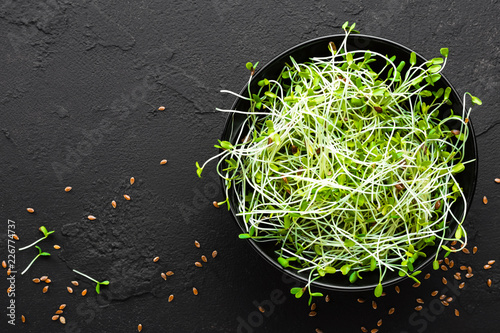 Healthy vegetarian bowl dish with fresh flaxseed sprouts. Plate with raw linseed sprouts salad. Healthy balanced eating. Superfood